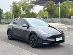 Tesla Model Y Edition - ფოტო 18