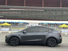 Tesla Model Y Edition - ფოტო 2