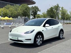 Tesla Model Y Edition - ფოტო 1