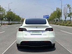 Tesla Model Y Edition - ფოტო 10
