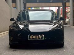 Tesla Model 3 Long Range Edition - photo 14