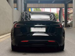 Tesla Model 3 Long Range Edition - photo 2