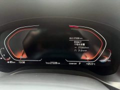 BMW X3 xDrive25i M - ფოტო 13