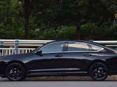 BYD 260TURBO Luxury Edition - ფოტო 3