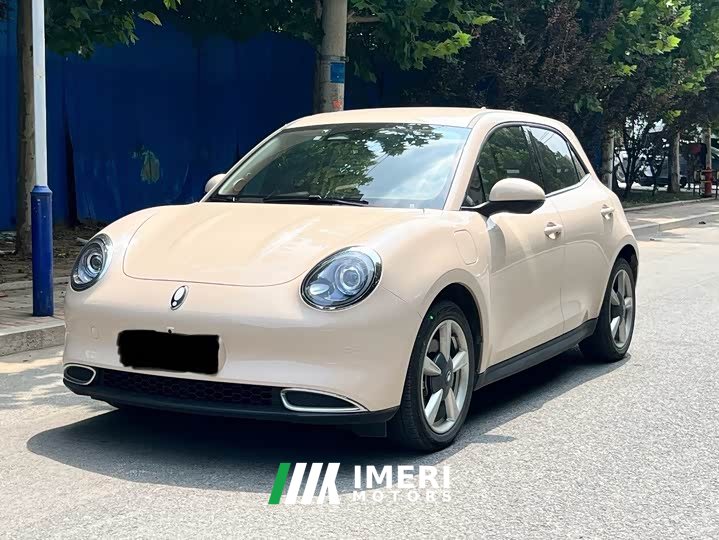 Ora 400kmStandard Range Premium Version - ავტომობილი ჩინეთიდან