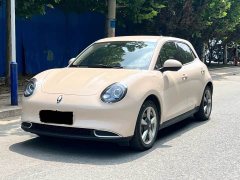 Ora 400kmStandard Range Premium Version - ფოტო 1