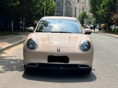Ora 400kmStandard Range Premium Version - ფოტო 2