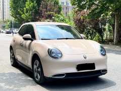 Ora 400kmStandard Range Premium Version - ფოტო 3