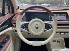 Ora 400kmStandard Range Premium Version - ფოტო 8