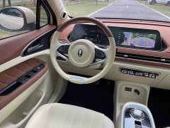 Ora 400kmStandard Range Premium Version - ფოტო 9