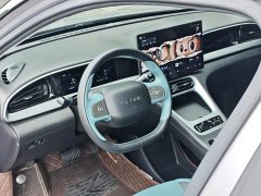 Leapmotor 310km Edition - ფოტო 6