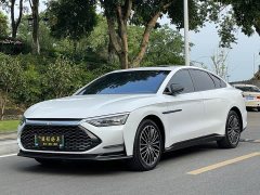 BYD DM AWD EditionLuxury Version - ფოტო 1