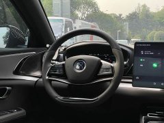 BYD DM AWD EditionLuxury Version - ფოტო 16