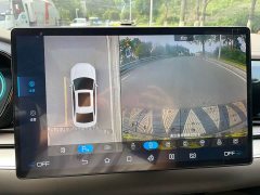 BYD DM AWD EditionLuxury Version - ფოტო 18