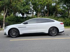 BYD DM AWD EditionLuxury Version - ფოტო 4