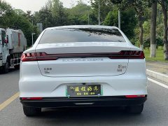 BYD DM AWD EditionLuxury Version - ფოტო 6