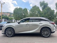 Lexus RX 450h AWD Edition - ფოტო 6
