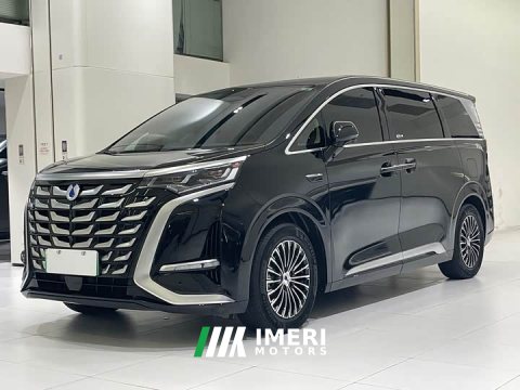 2025 Denza D9 DM-i 2WD Version - ავტომობილი ჩინეთიდან
