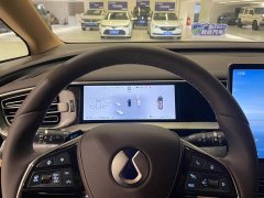 Denza D9 DM-i 2WD Version - ფოტო 8