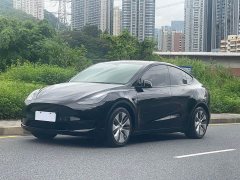 Tesla Model Y Edition - ფოტო 1