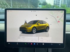 Tesla Model Y Edition - ფოტო 14