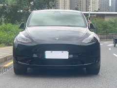 Tesla Model Y Edition - ფოტო 2