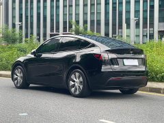 Tesla Model Y Edition - ფოტო 4