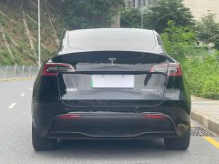 Tesla Model Y Edition - ფოტო 5