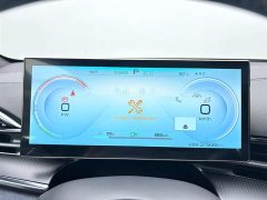 BYD Edition 550km Premium Version - ფოტო 10