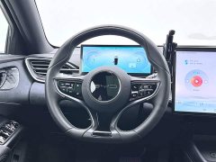 BYD Edition 550km Premium Version - ფოტო 13
