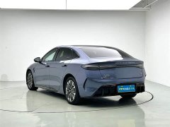 BYD Edition 550km Premium Version - ფოტო 2