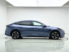 BYD Edition 550km Premium Version - ფოტო 6
