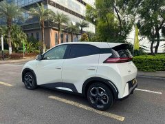 BYD Edition 305km Edition - ფოტო 11