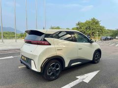 BYD Edition 305km Edition - ფოტო 13