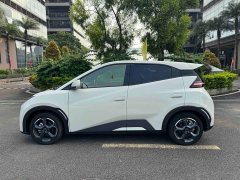 BYD Edition 305km Edition - ფოტო 17
