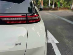 BYD Edition 305km Edition - ფოტო 18