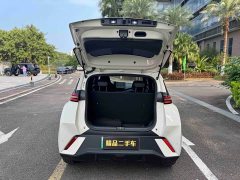 BYD Edition 305km Edition - ფოტო 20