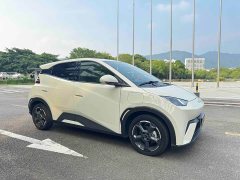 BYD Edition 305km Edition - ფოტო 3