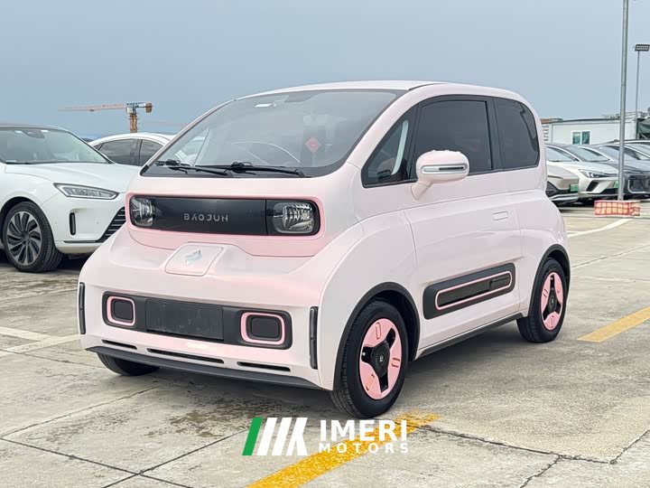 BYD KiWi EV Edition