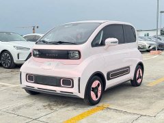 BYD KiWi EV Edition - ფოტო 1
