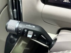 Geely M9 230km 2WD Edition - ფოტო 13