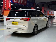 Buick GL8 ES 653T Version - ფოტო 5
