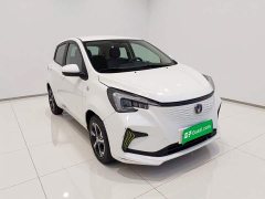 BYD E-Star Edition - ფოტო 3