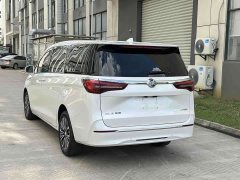 Buick GL8 ES Luxury Version Edition - ფოტო 18