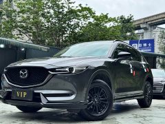 BMW CX-5 2.0L 2WD - ფოტო 17