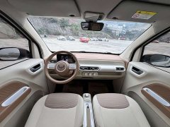 BMW MINIEV 215km Edition - ფოტო 10