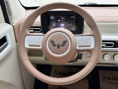 BMW MINIEV 215km Edition - ფოტო 15