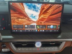 Tank 500 3.0T Business Edition Version 5 - ფოტო 11