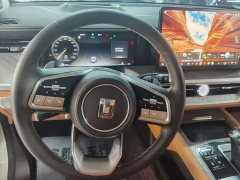 Tank 500 3.0T Business Edition Version 5 - ფოტო 13