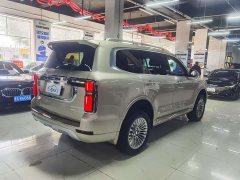 Tank 500 3.0T Business Edition Version 5 - ფოტო 5